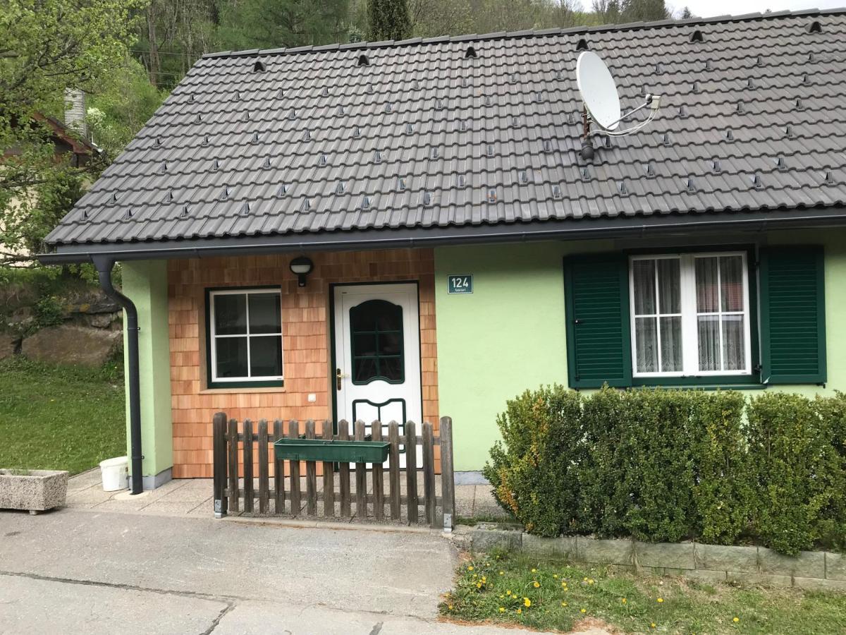 Ferienhaus Stolz Sankt Peter am Kammersberg Exterior foto